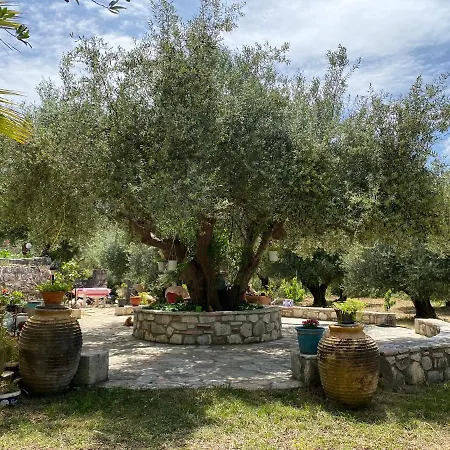 Marina Studios Sami (Kefalonia)