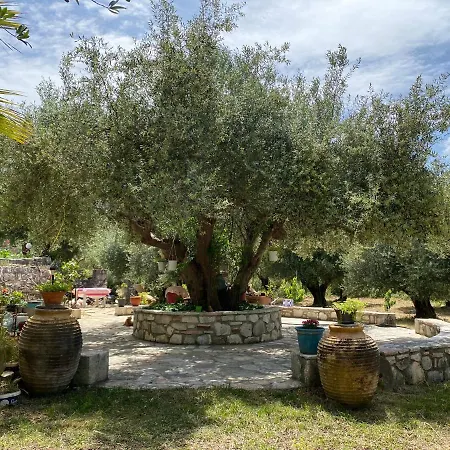 Marina Studios Sami (Kefalonia)